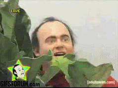 Guy in bushes