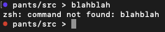Zsh command status indication with blue/red dots
